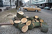 Раскряжевка(распил на части)